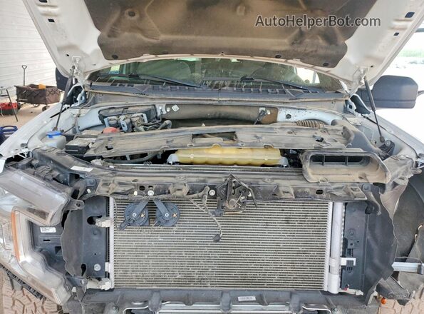 1FTEW1CP6LKE06604 2020 FORD F150 Белый Вид задней части салона