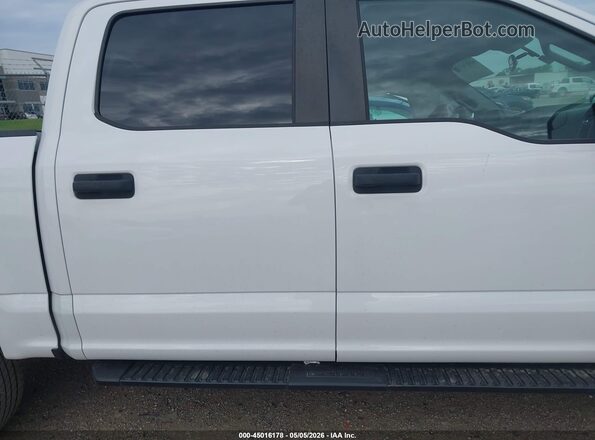1FTEW1CP7KKC09312 2019 FORD F150 Белый Вид задней части салона