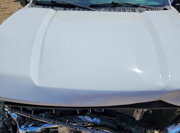 1FTEW1CP9LFC45299 2020 FORD F150 Белый Вид задней части салона