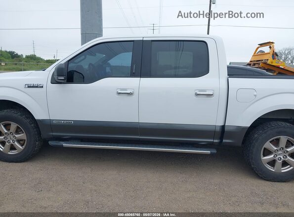 1FTEW1E12KFC64803 2019 FORD F150 White 