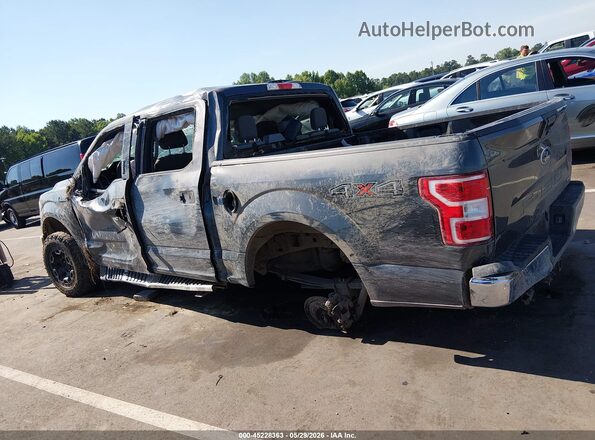 1FTEW1E40KKC53008 2019 FORD F150 Серый Панорамный вид салона 360°