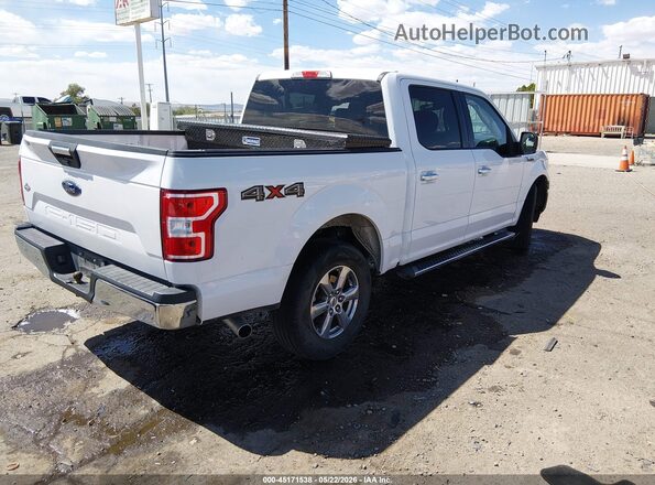 1FTEW1E51LKD28602 2020 FORD F150 Белый Задняя правая четверть