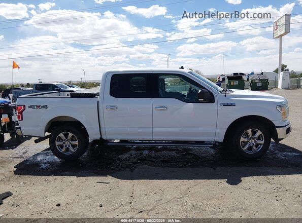 1FTEW1E51LKD28602 2020 FORD F150 Белый Вид задней части салона