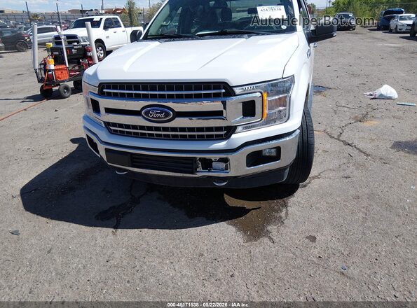 1FTEW1E51LKD28602 2020 FORD F150 Белый Вид спереди