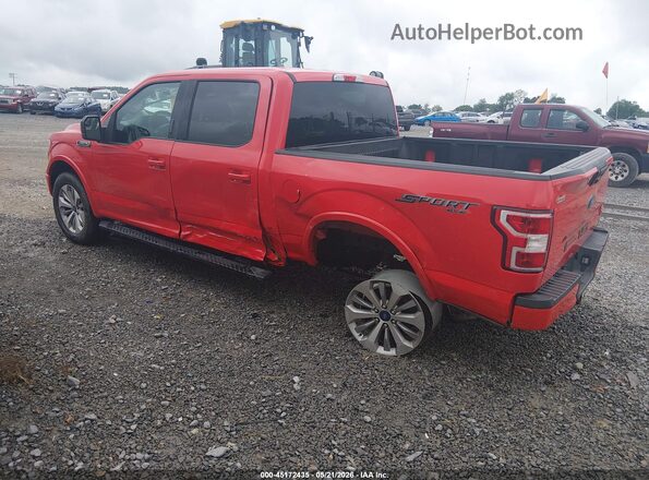 1FTEW1E52LFA83463 2020 FORD F150 Red Задня ліва чверть
