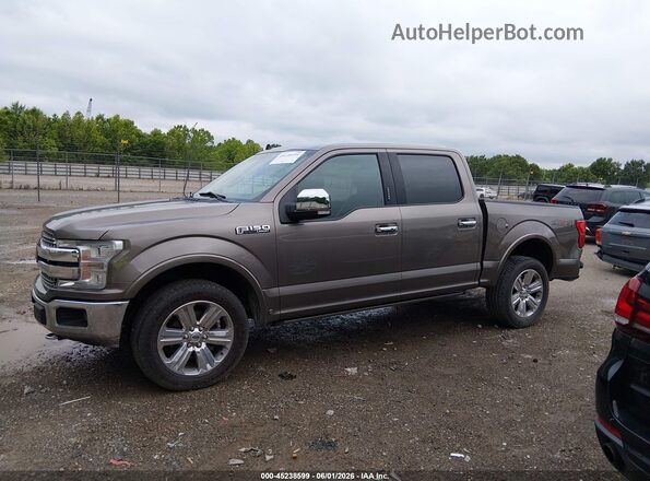 1FTEW1E53KFB73073 2019 FORD F150 Gold Սալոնի 360 աստիճան տեսք