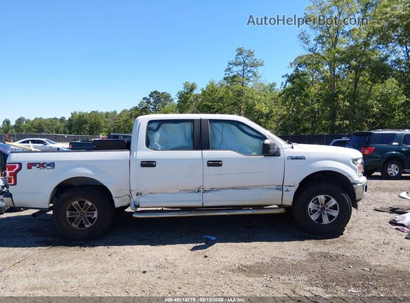 1FTEW1E55KFA37236 2019 FORD F150 White უკანა სალონის ხედი