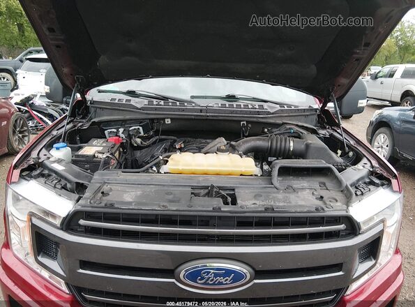 1FTEW1E57KFA57701 2019 FORD F150 Red უკანა ხედი