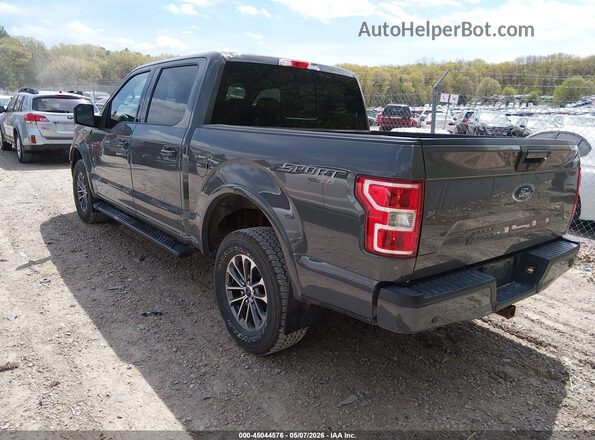 1FTEW1E59JFB23681 2018 FORD F150 Серый 