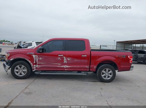 1FTEW1E59JKD53776 2018 FORD F150 Red Widok wnętrza 360 stopni