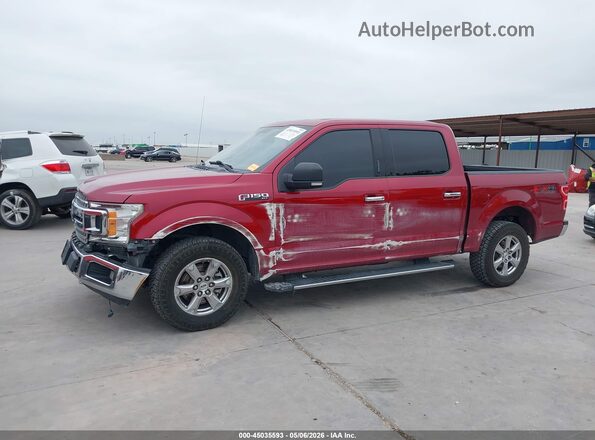 1FTEW1E59JKD53776 2018 FORD F150 Red Widok z przodu