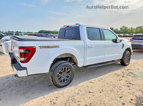 1FTEW1E80NFB31331 2022 FORD F150 White Vista frontal