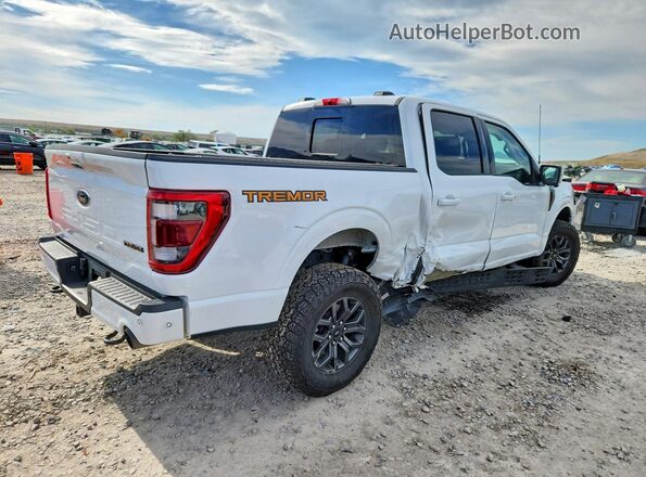 1FTEW1E81NFB36490 2022 FORD F150 White 