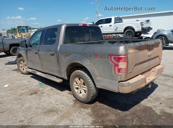1FTEW1EB1JFC79929 2018 FORD F150 Желто-коричневый Панорамный вид салона 360°