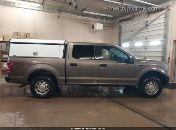 1FTEW1EB2JKE41008 2018 FORD F150 Brown უკანა სალონის ხედი