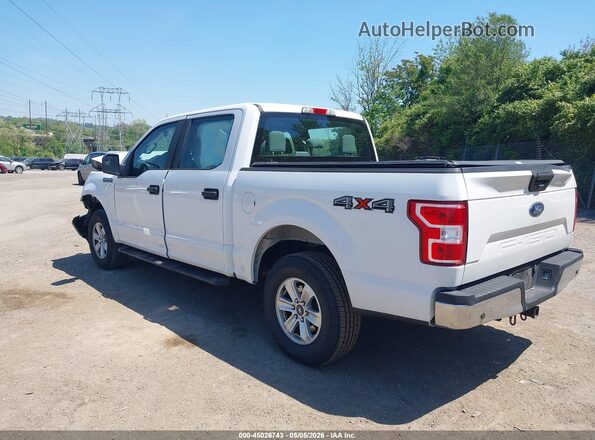 1FTEW1EB4KFD07207 2019 FORD F150 White Հետևի ձախ