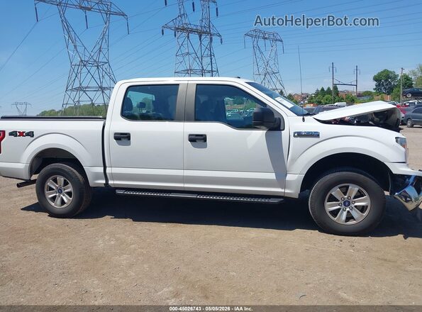 1FTEW1EB4KFD07207 2019 FORD F150 White Սալոնի 360 աստիճան տեսք