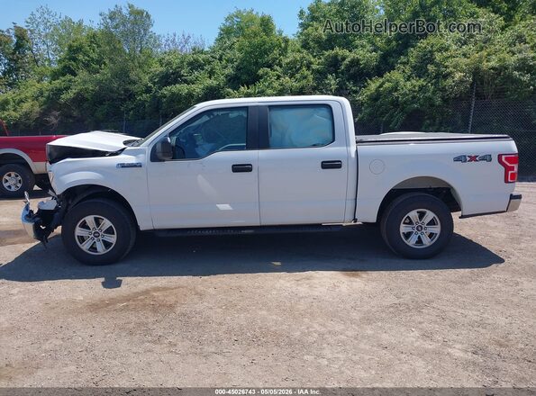 1FTEW1EB4KFD07207 2019 FORD F150 White 