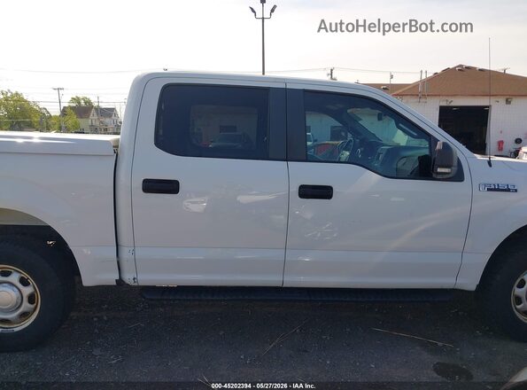 1FTEW1EB9KFA22289 2019 FORD F150 Белый Вид задней части салона