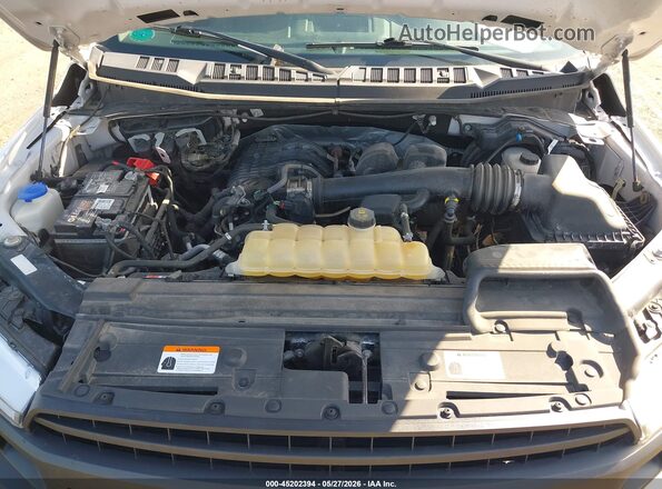 1FTEW1EB9KFA22289 2019 FORD F150 Белый Вид сзади