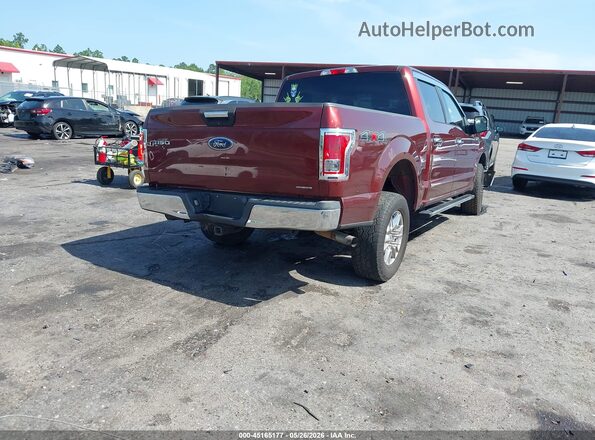 1FTEW1EF5GFC78679 2016 FORD F150 Maroon Հետևի աջ