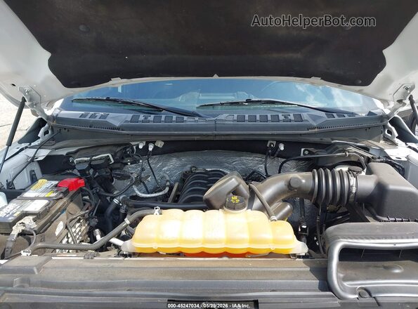 1FTEW1EF7GFB36902 2016 FORD F150 White Հետևի տեսք