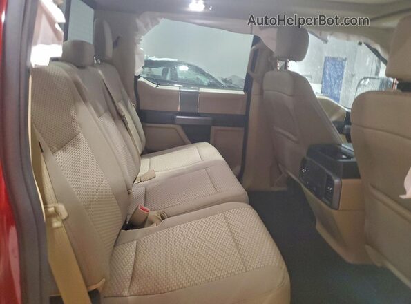 1FTEW1EFXHFC39250 2017 FORD F150 Red Հետևի նստատեղերի տեսք