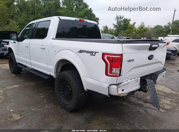 1FTEW1EG0HKC05608 2017 FORD F150 White Հետևի ձախ