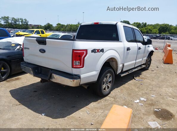 1FTEW1EG3GFB45847 2016 FORD F150 White Հետևի աջ
