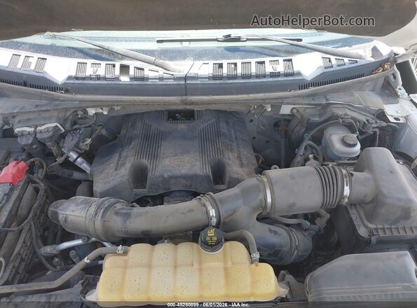 1FTEW1EG4HFC52293 2017 FORD F150 White Widok z tyłu