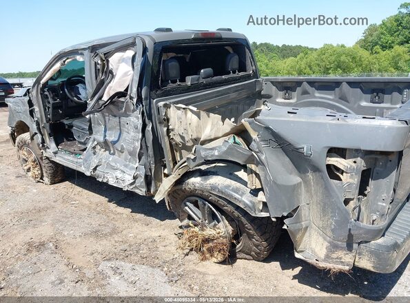 1FTEW1EP0MFA95615 2021 FORD F150 Серый 