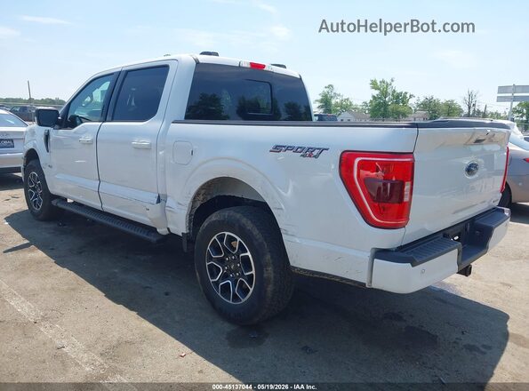 1FTEW1EP0PFB12997 2023 FORD F150 White Trasero izquierdo