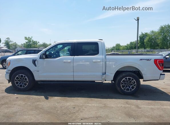 1FTEW1EP0PFB12997 2023 FORD F150 White Vista interior de 360 grados