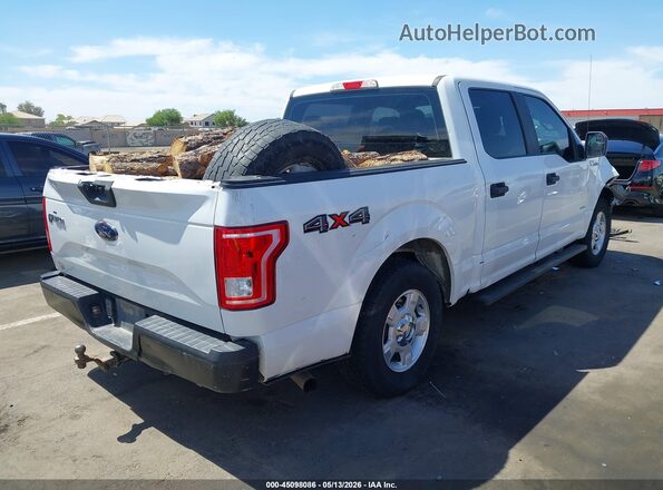 1FTEW1EP1GFA86555 2016 FORD F150 Белый Задняя правая четверть