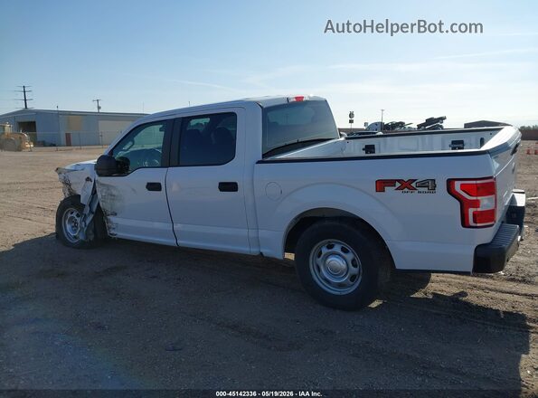 1FTEW1EP2LKD97333 2020 FORD F150 White უკანა სალონის ხედი