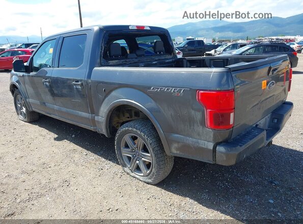 1FTEW1EP3LKD58914 2020 FORD F150 Серый Задняя левая четверть