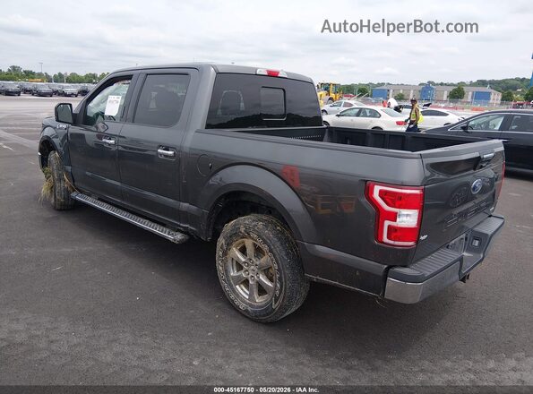 1FTEW1EP3LKD96479 2020 FORD F150 Gray უკანა მარცხენა