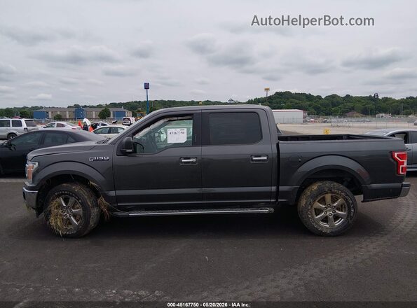 1FTEW1EP3LKD96479 2020 FORD F150 Gray სალონის 360-გრადუსიანი ხედი