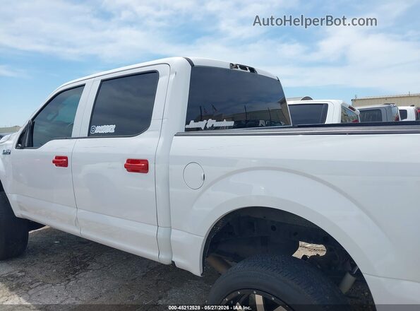 1FTEW1EP4KKE05155 2019 FORD F150 White Панорамний вид салону 360°