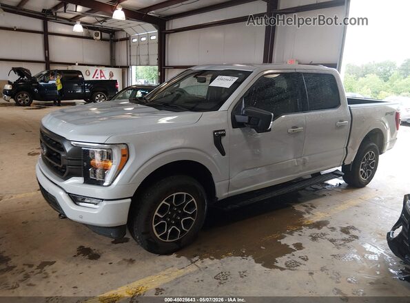 1FTEW1EP4MKE91893 2021 FORD F150 Gray 