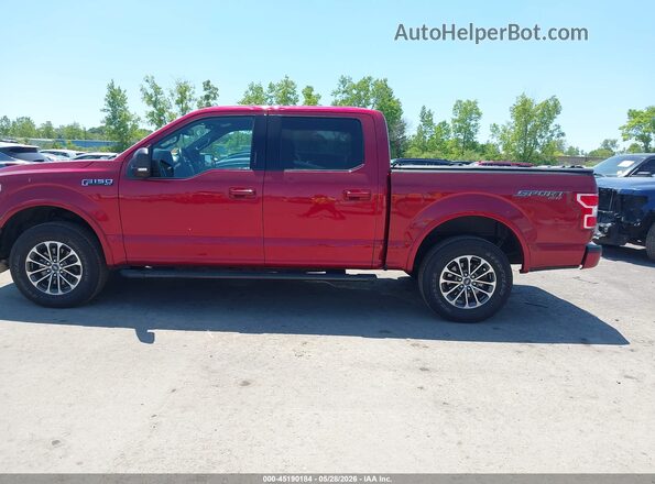 1FTEW1EP5KFA39974 2019 FORD F150 Red Widok wnętrza 360 stopni