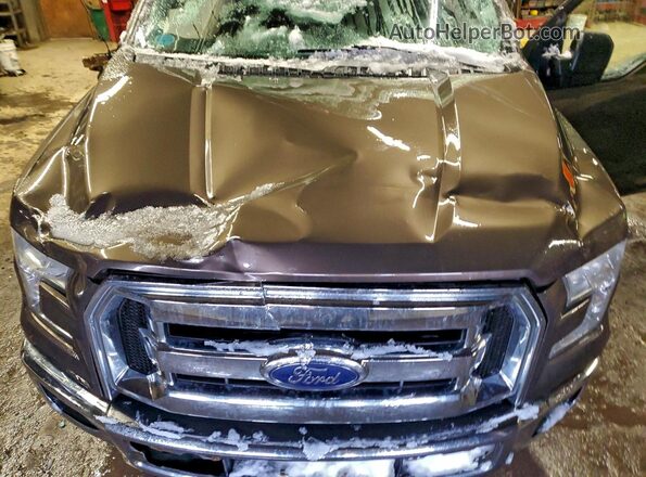 1FTEW1EP6GFB05813 2016 FORD F150 Brown Սալոնի հետևի տեսք