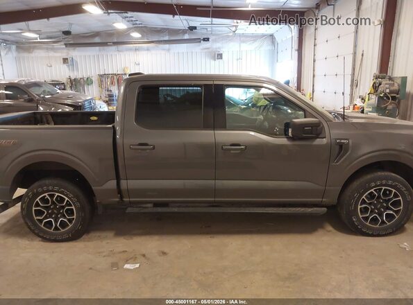 1FTEW1EP6MFC25851 2021 FORD F150 Gray Rear interior view