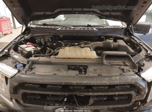 1FTEW1EP6MFC25851 2021 FORD F150 Gray Rear view