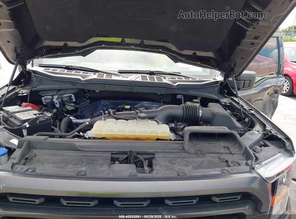 1FTEW1EP6PKF06186 2023 FORD F150 Gray Widok z tyłu