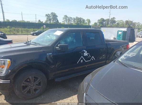 1FTEW1EP7PFA67900 2023 FORD F150 Black Widok wnętrza 360 stopni