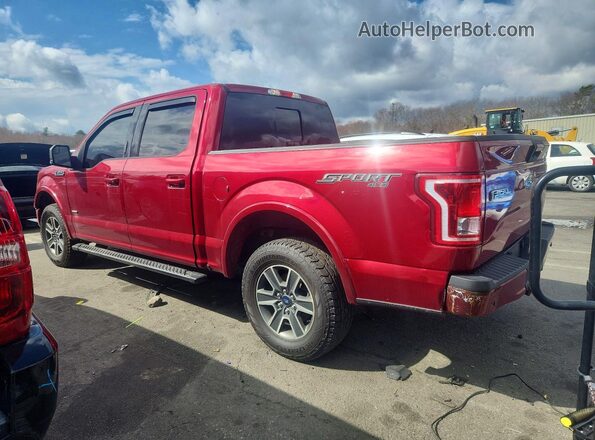 1FTEW1EP9GFB80179 2016 FORD F150 Burgundy 