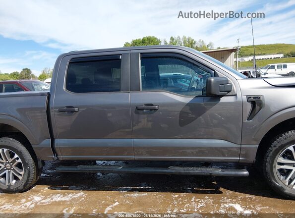 1FTEW1EP9PKF70030 2023 FORD F150 Серый Вид задней части салона