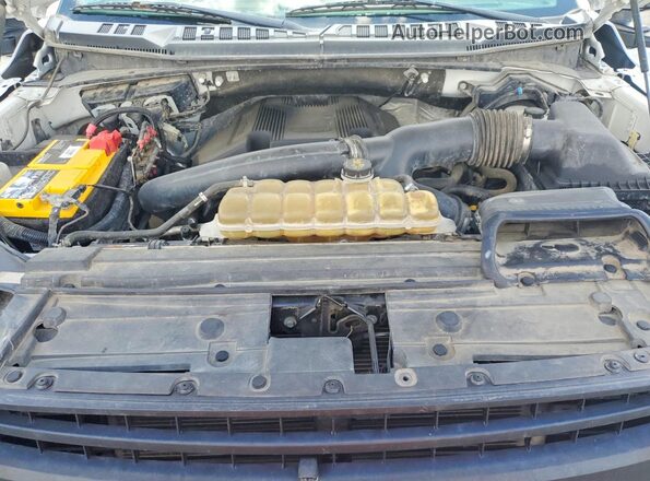 1FTEW1P41LKE82294 2020 FORD F150 White Widok wnętrza z tyłu
