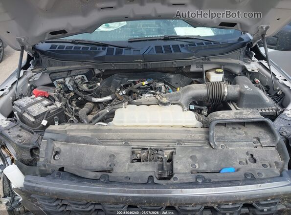 1FTEW2KP0RKE81721 2024 FORD F150 Gray Вид ззаду